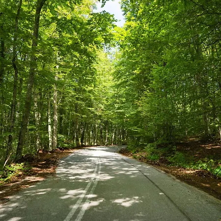 Aristi Tessera Villa *