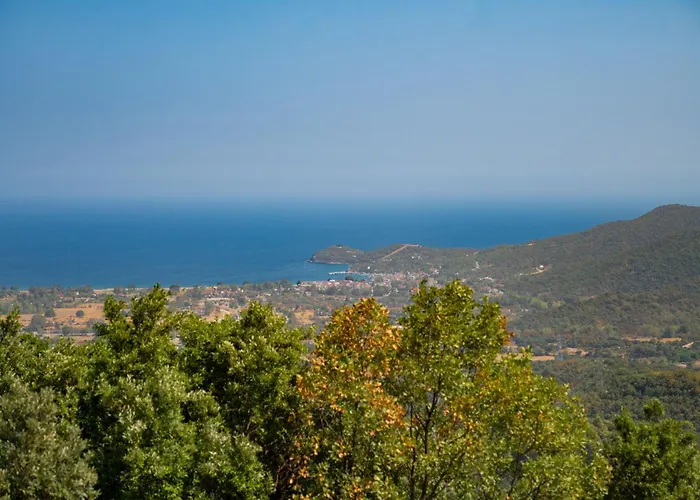 Aristi Tessera Villa Olympiada