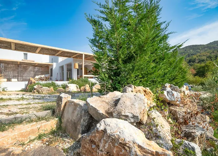 Aristi Tessera Villa Olympiada