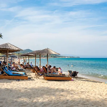 Aristi Tessera * Olympiada