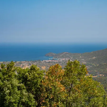 Aristi Tessera Villa Olympiada