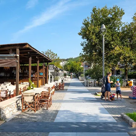 Aristi Tessera * Olympiada